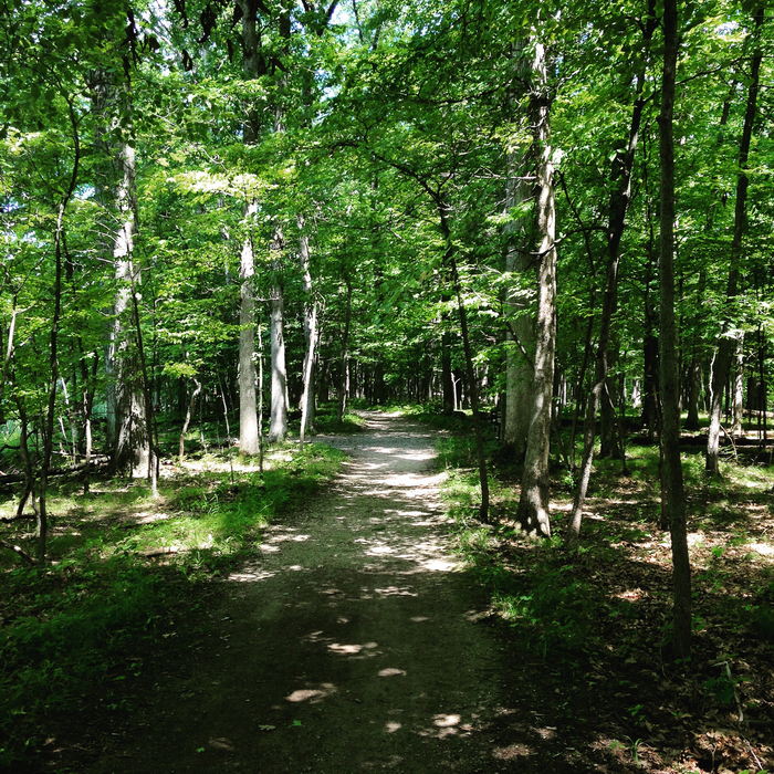 Kensington Metropark - 2015 Photo (newer photo)